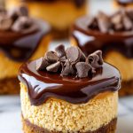 Chocolate Peanut Butter Mini Cheesecakes: A Bite-Sized Bliss